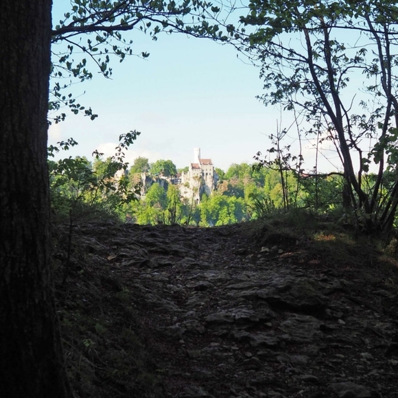 Profile - Picture 8 of 15